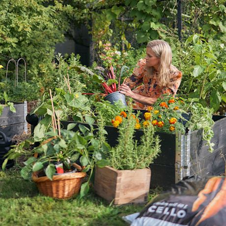 Nainen hoitaa puutarhaa.