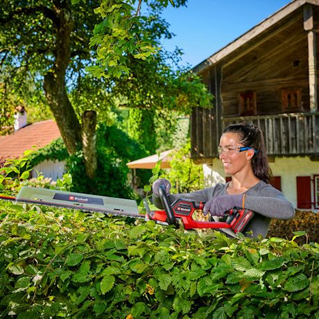 Punainen akkukäyttöinen pensasleikkuri leikkaa tiheää vihreää aitaa kesäisessä puutarhassa.