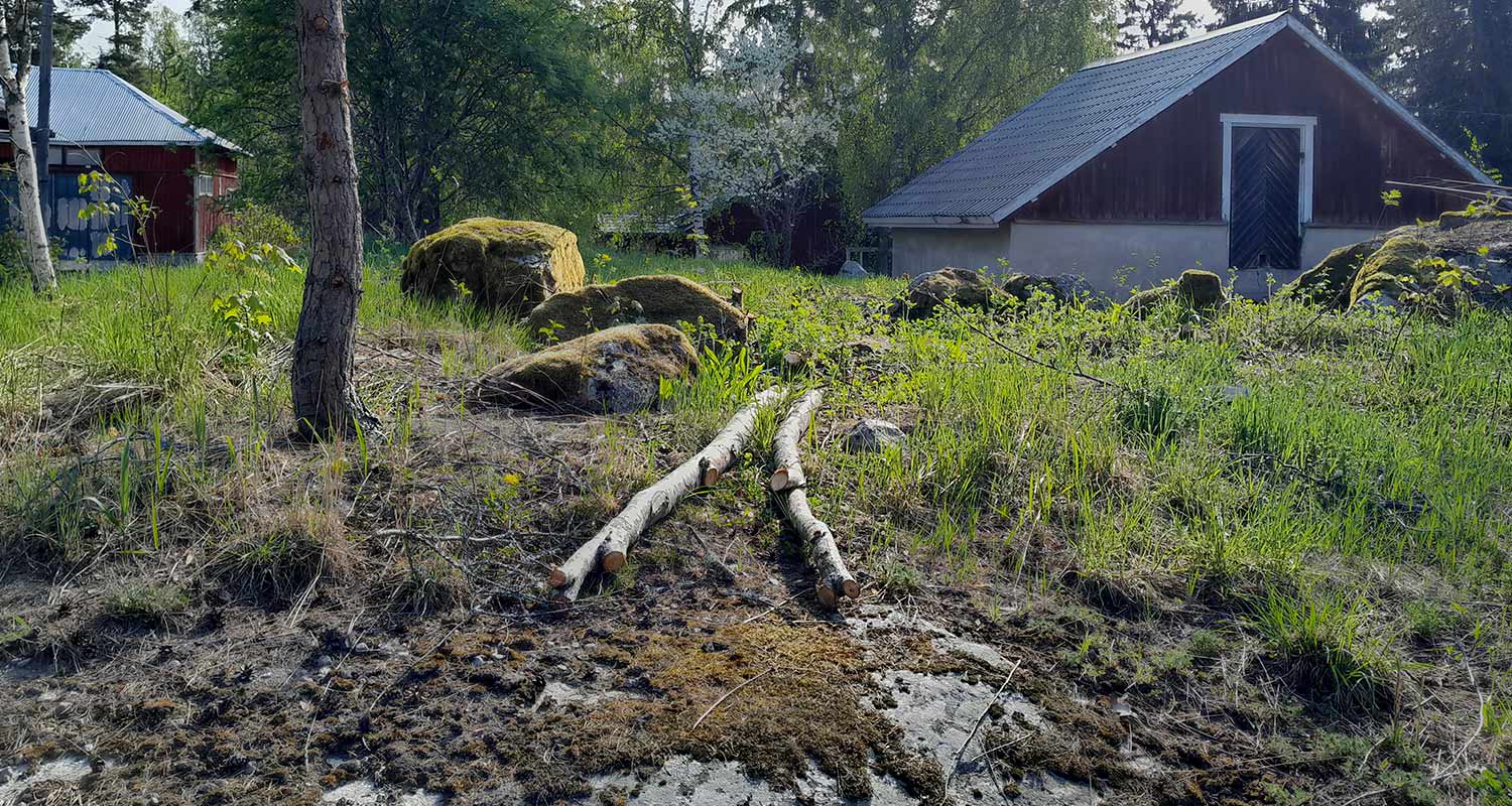 Sama paikka risujen raivauksen jälkeen, Echon moottorisahalla hoitui