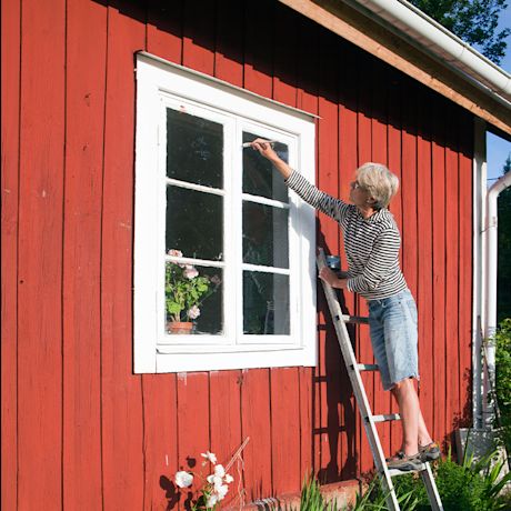 Mökin maalaus kauniina kesäpäivänä. Kuvassa nainen maalaa mökin ikkunankarmeja.