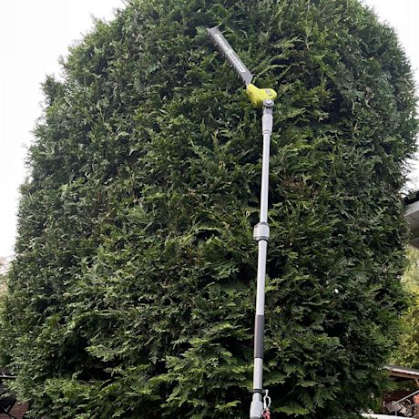 Ryobi RY18PHT40A-0 18V ONE+ -akkupensasleikkuri teleskooppivarrella apuna korkeiden tuijien muotoilussa.