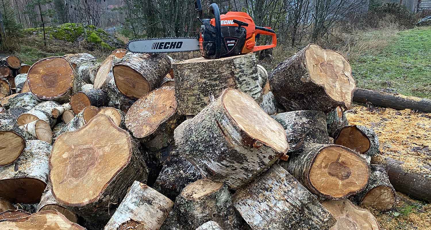 Testissä Echo-moottorisaha mallia CS 4920, sahattuja puita