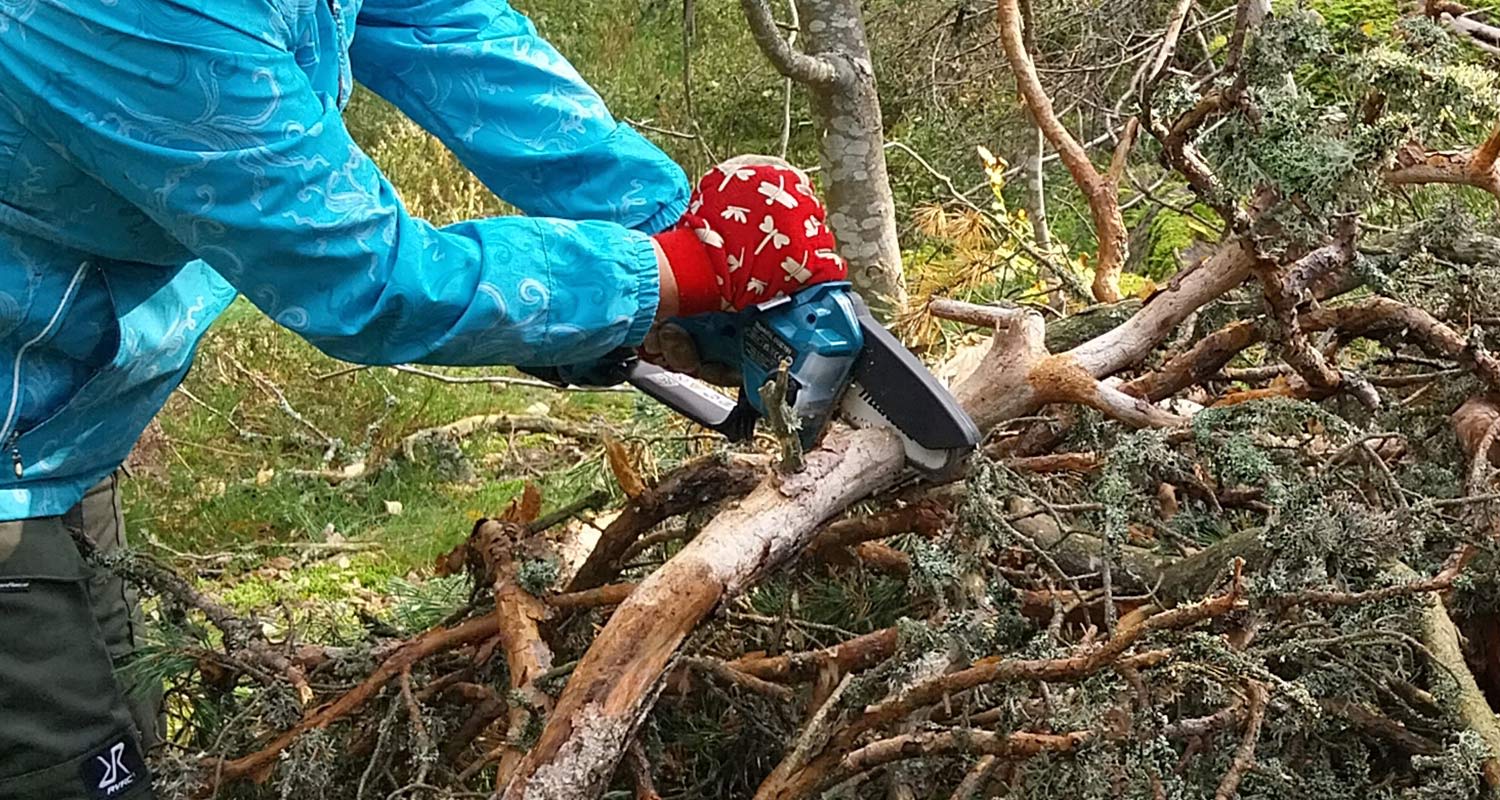 Oksien sahaus käynnissä akkuoksasaha Makita DUC101Z 18V LXT -konetta hyödyntäen.