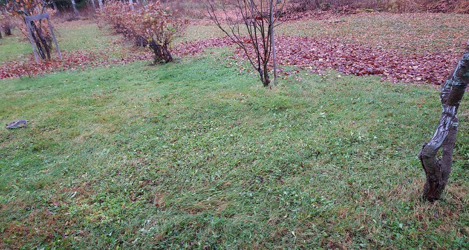 tuotetesti-reppupuhallin-stiga-bl-980-r-krauta-ak-puhallettu-piha-2