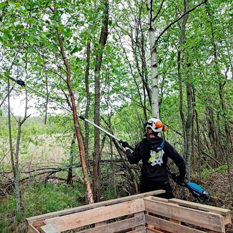 Testissä Makitan akkuketjusaha UA004GZ 40V XGT