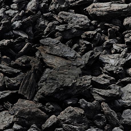 Grillihiilä lähikuvassa.