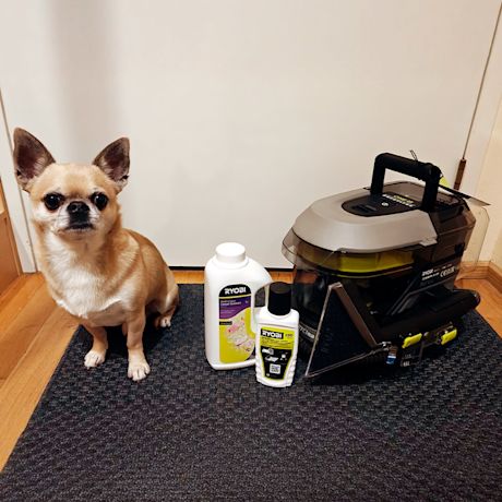 Kuvassa koira sekä testituote tekstiilipesuri Ryobi RDC18BL-0 18V ONE+ pesuaineiden kera. Pesuria myy K-Rauta.