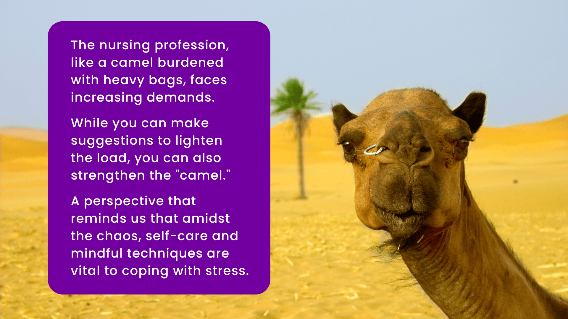 A photo of a camel in the desert with text that explains how the nursing profession, like a camel burdened with heavy bags, faces increasing demands. While nurses can make suggestions to lighten the load, you can also strengthen the "camel." A perspective that reminds us that amidst the chaos, self-care and mindful techniques are vital to coping with stress. 