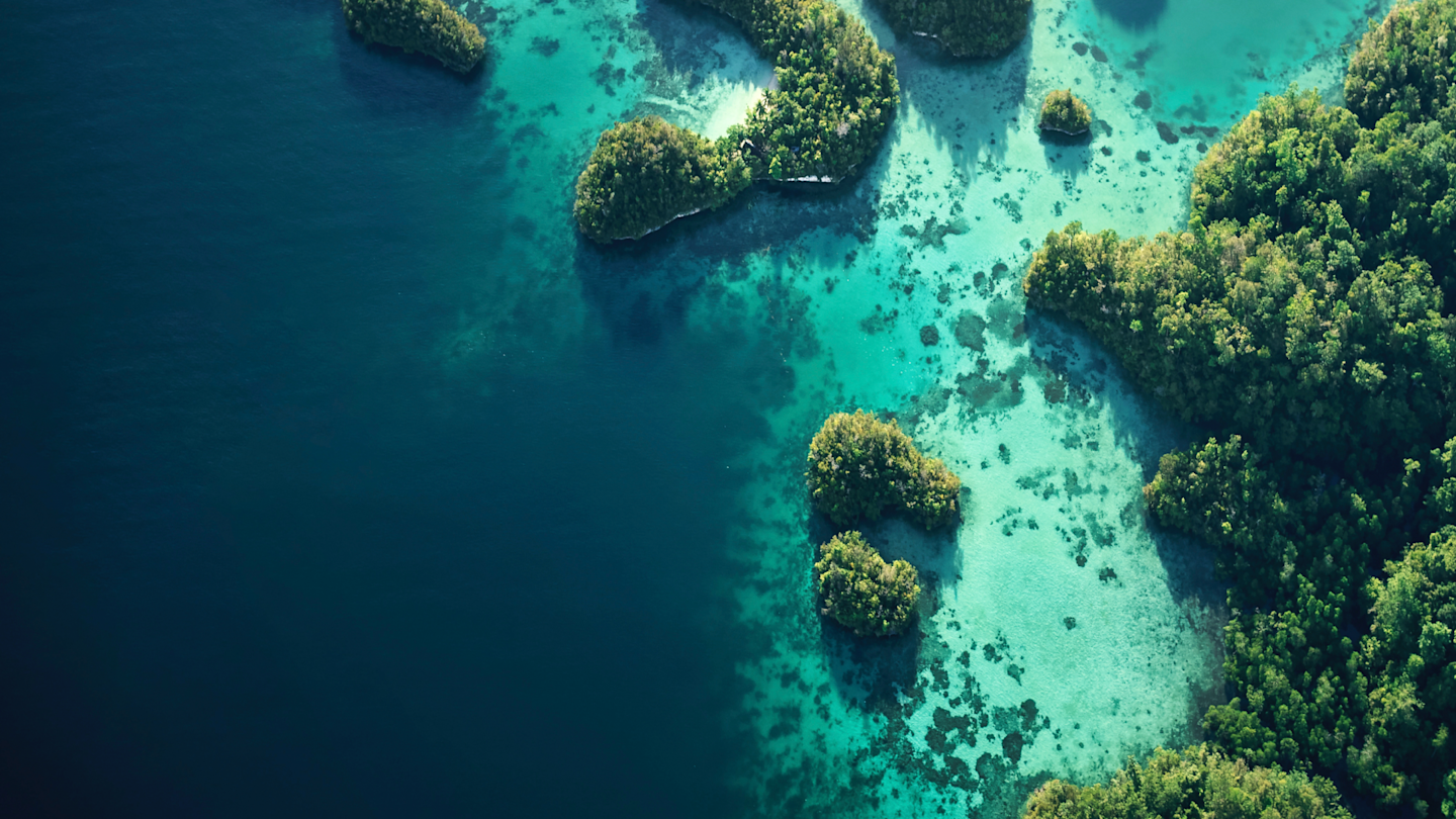 Aerial view of lush green islands surrounded by clear turquoise water, showcasing a vibrant marine landscape.