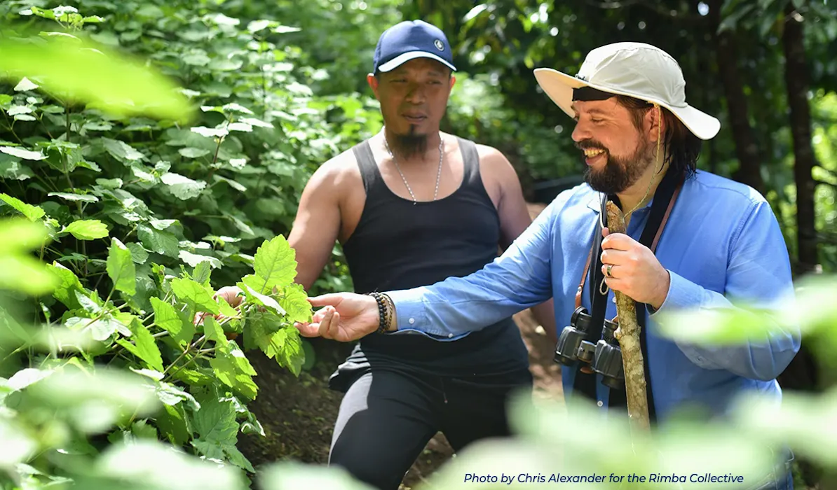 A man touching leaves