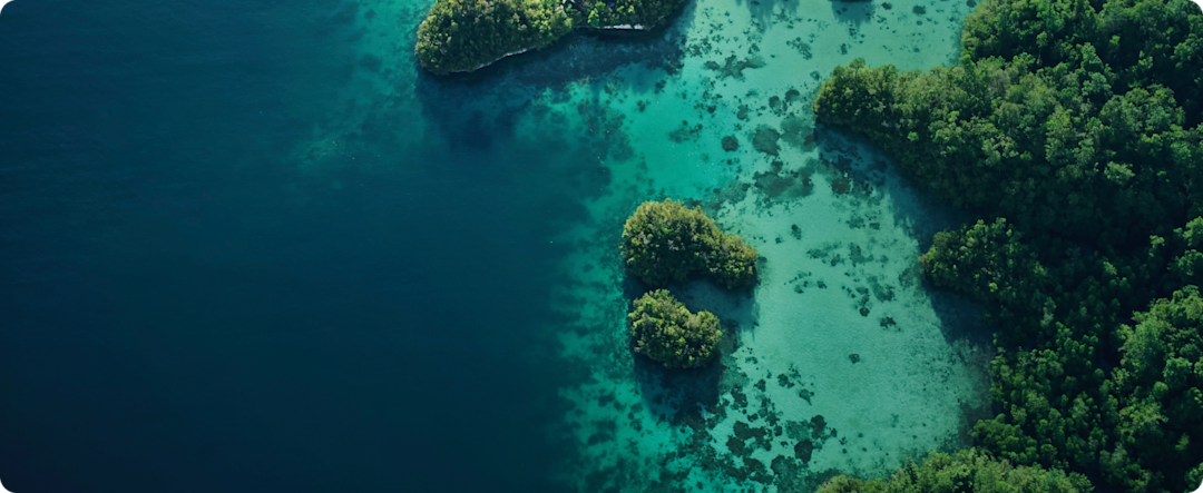 Aerial view of lush green islands surrounded by clear turquoise waters, showcasing natural beauty and diverse ecosystems.