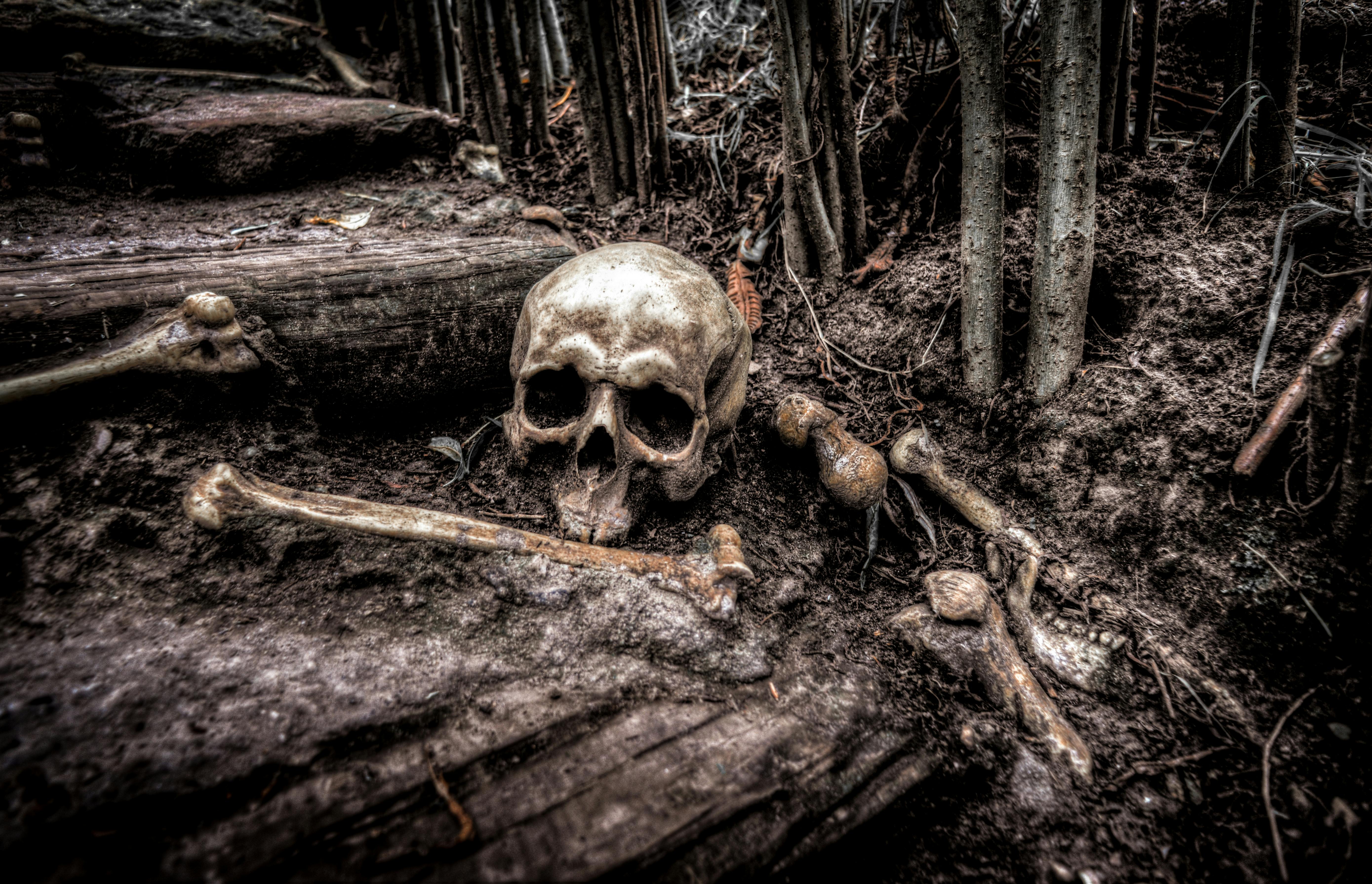 Scary story ideas for a psychological horror