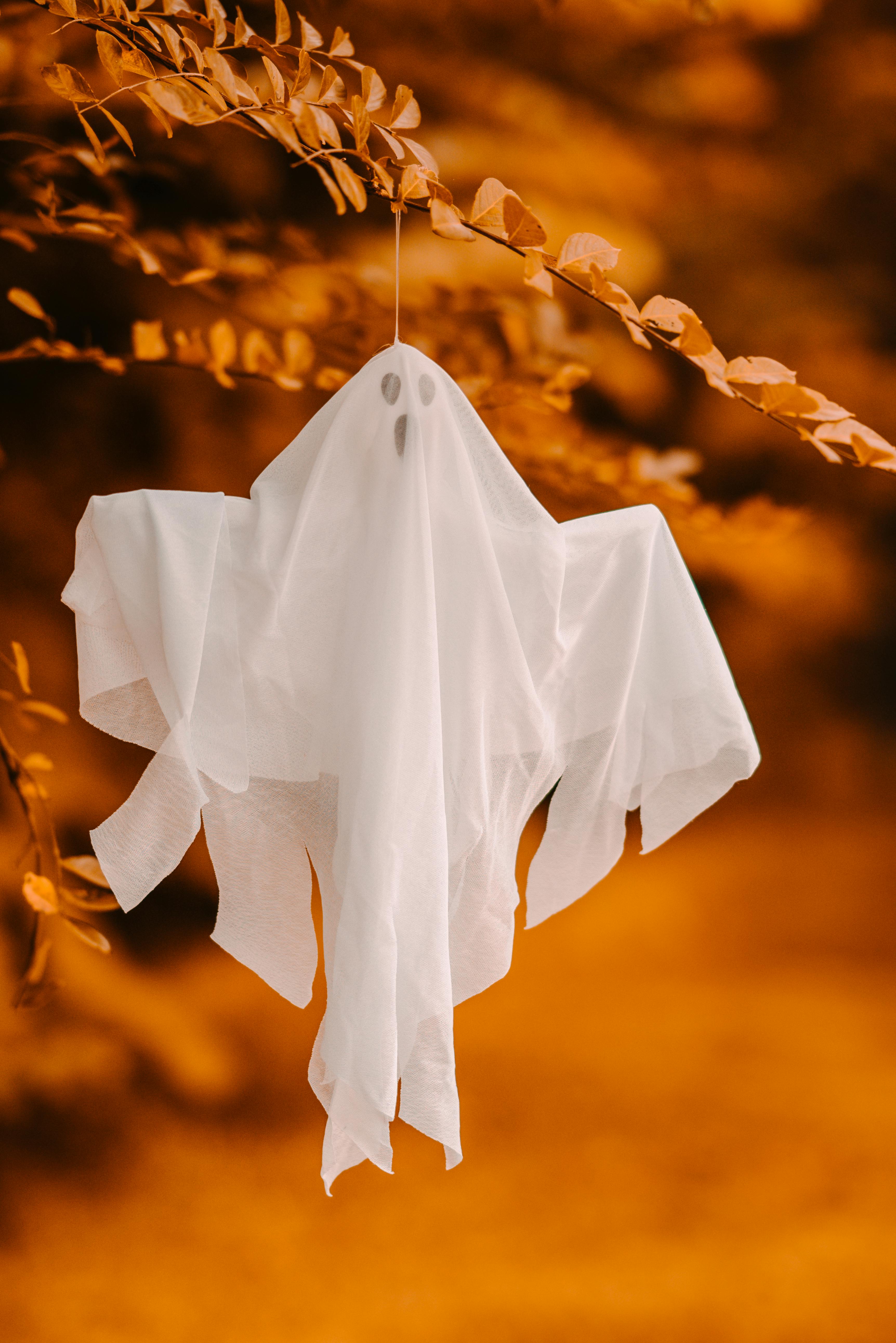 Free Small decorative ghost in white cape hanging on tree sprig on blurred background in autumn park during holiday celebration in daylight Stock Photo