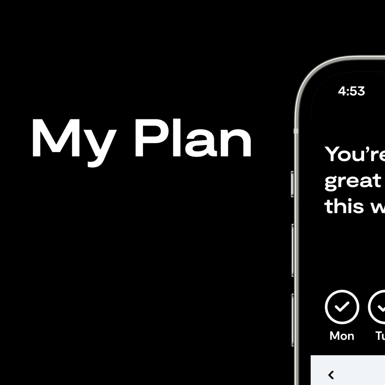 My Plan Intro Excerpt