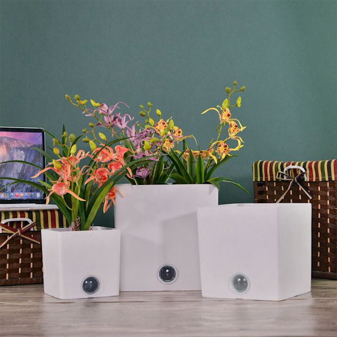 Self-Watering Square Pot System for Indoor Plants (Set of 3)