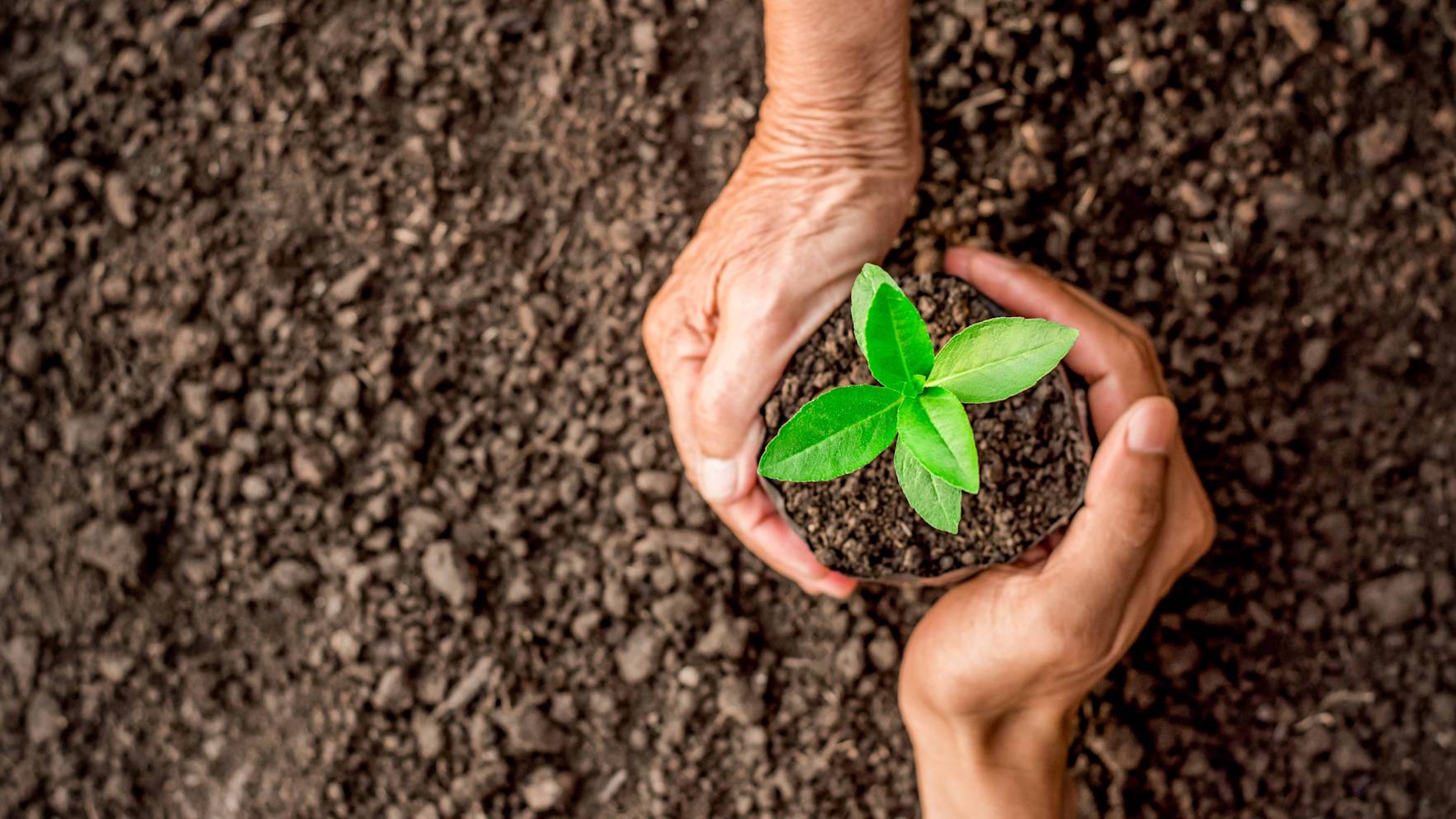 Small plant carbon neutral