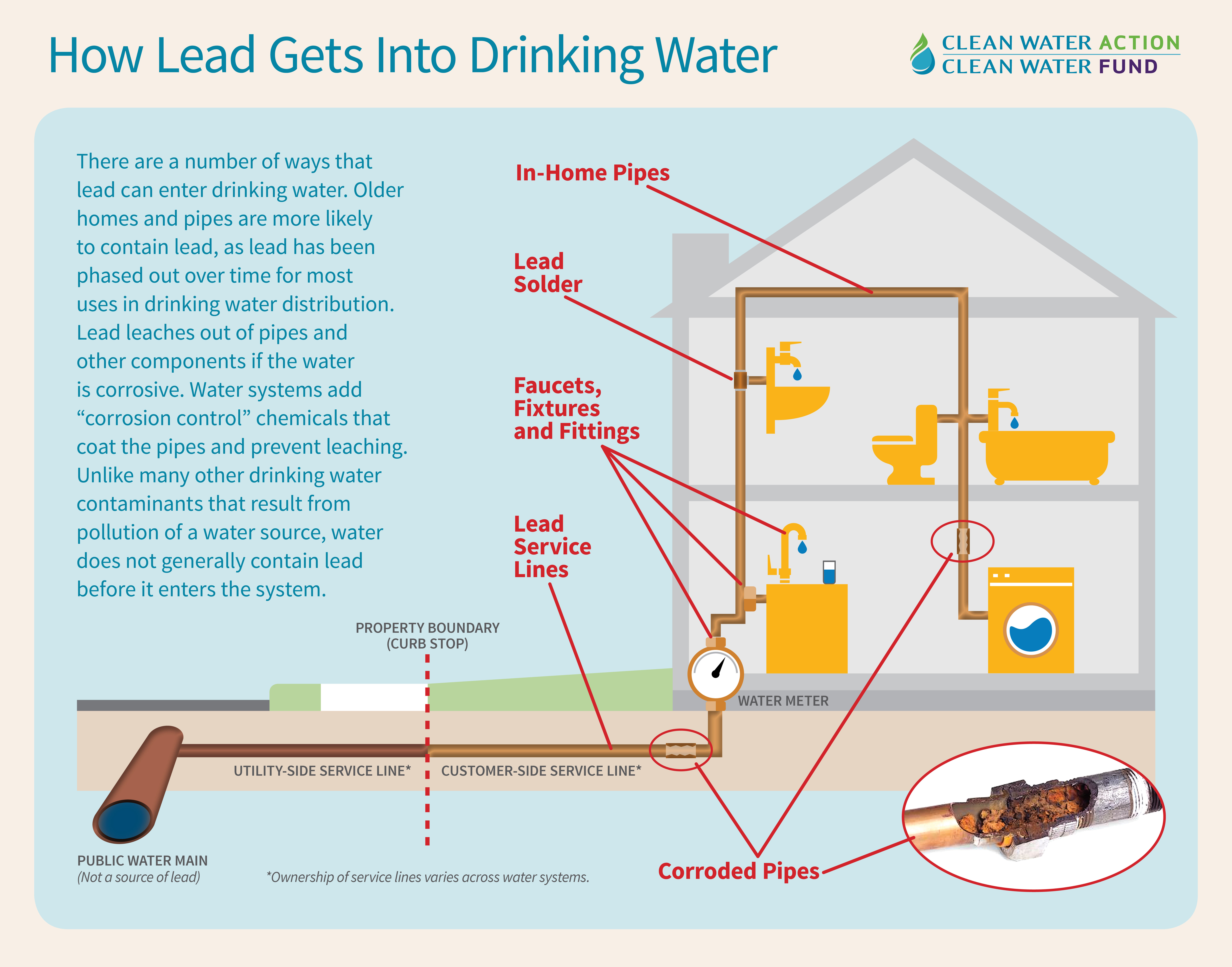 Infographic Lead in DW 05.06.16a test