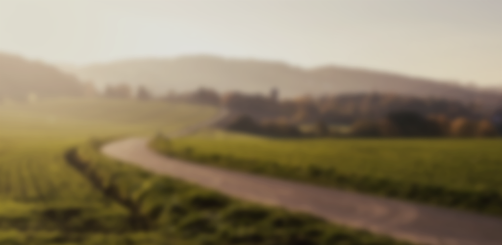Blurry field landscape