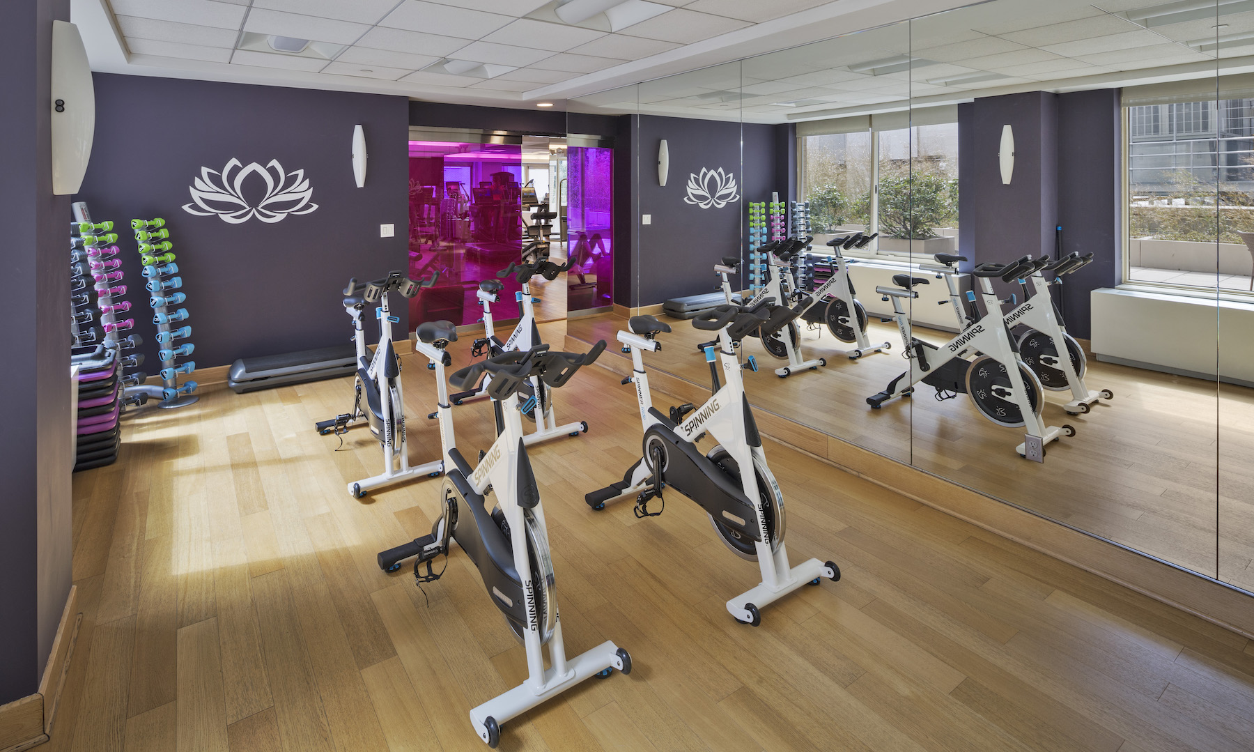 Marc Yoga and Cycle Studio