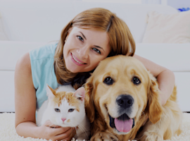 Animali domestici - cane e gatto