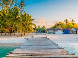 Repubblica dominicana - spiaggia caraibica con palme e mare cristallino.