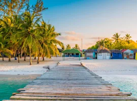 Repubblica dominicana - spiaggia caraibica con palme e mare cristallino.