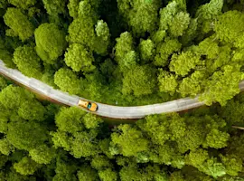 Immagine HOMEPAGE / Auto