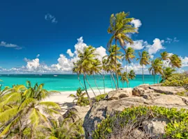 Caraibi - spiaggia con sabbia bianca, mare cristallino, palme e rocce.