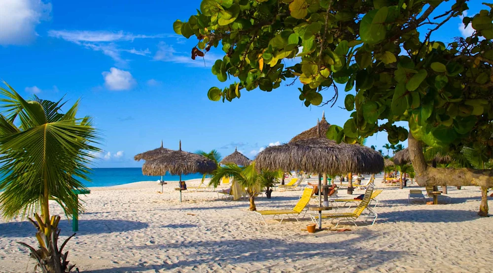 Aruba Aruba