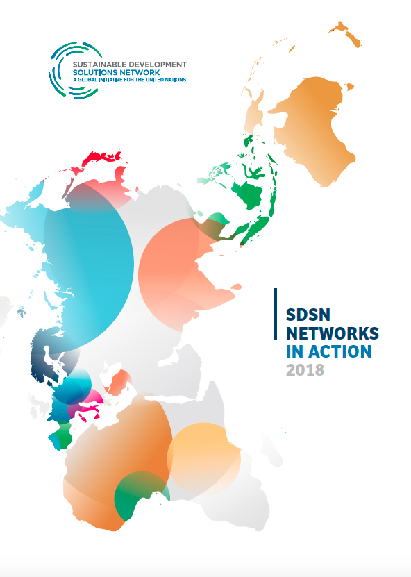 2018 Networks in Action Report Cover