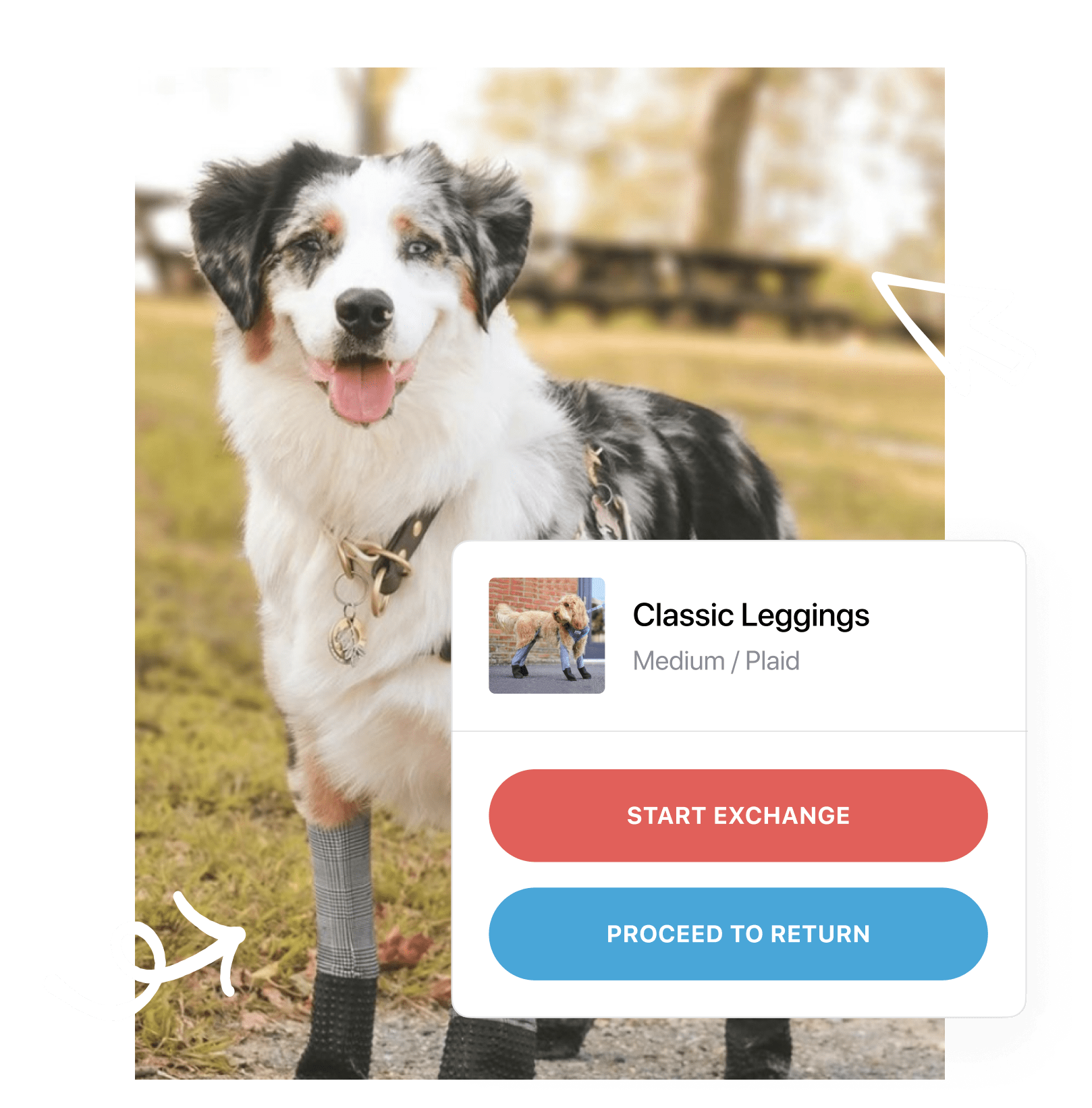 WalkeePaws hero image