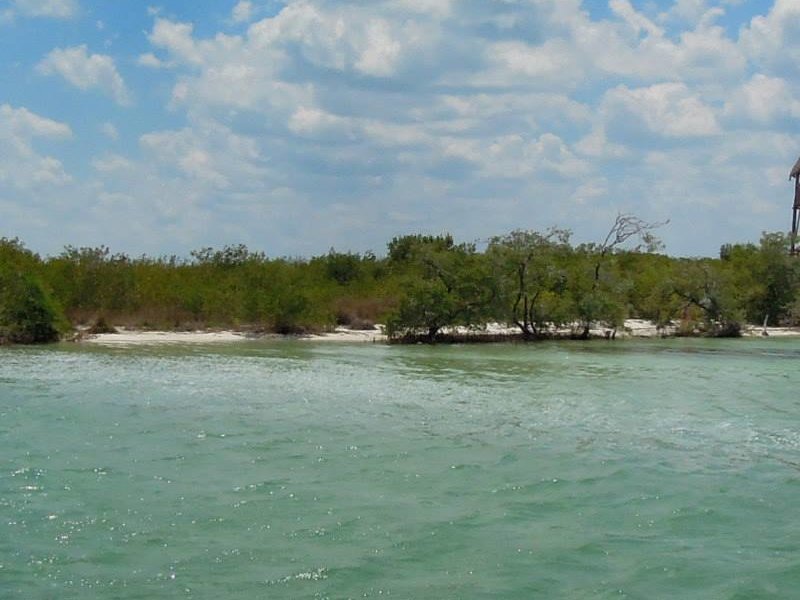 tres islas holbox