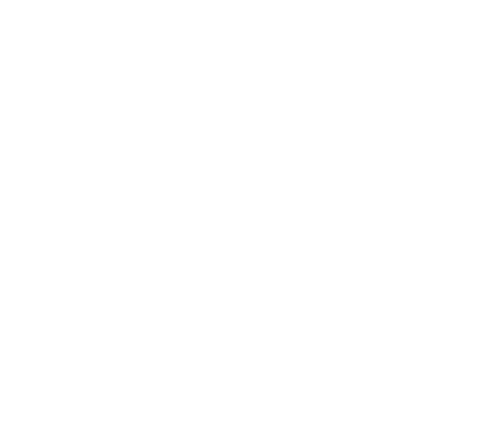 BLOOM GIN