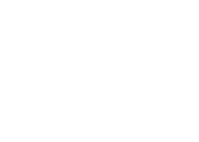 SYSTEM PROFESSIONAL