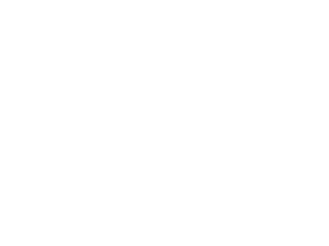LILY O’BRIENS