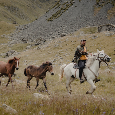 Adventure Horses