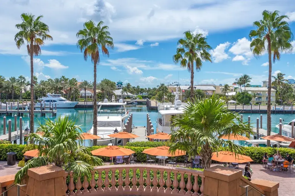 Marina Views and Island Vibes