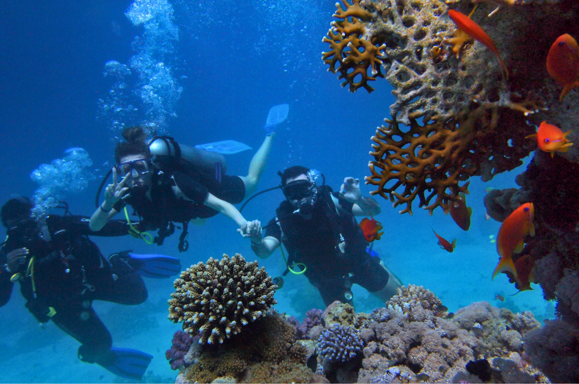 snorkeling-bahamas