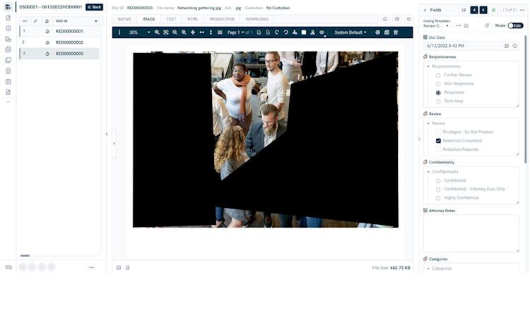 Polygon Image redactions