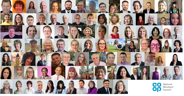 Council Collage 2024