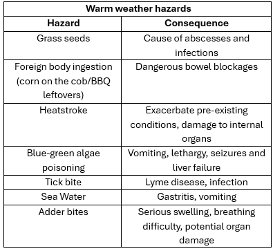 Warm weather hazards