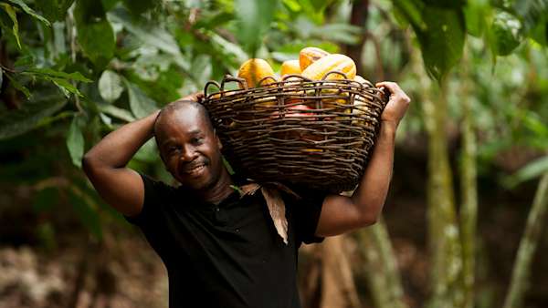 Image - Ethical trade - CR 2021