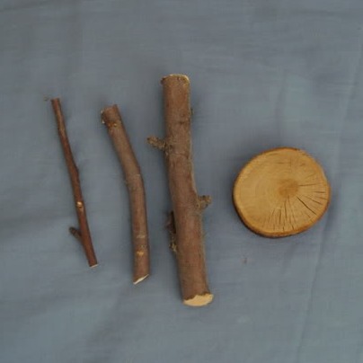 Sticks and Coin