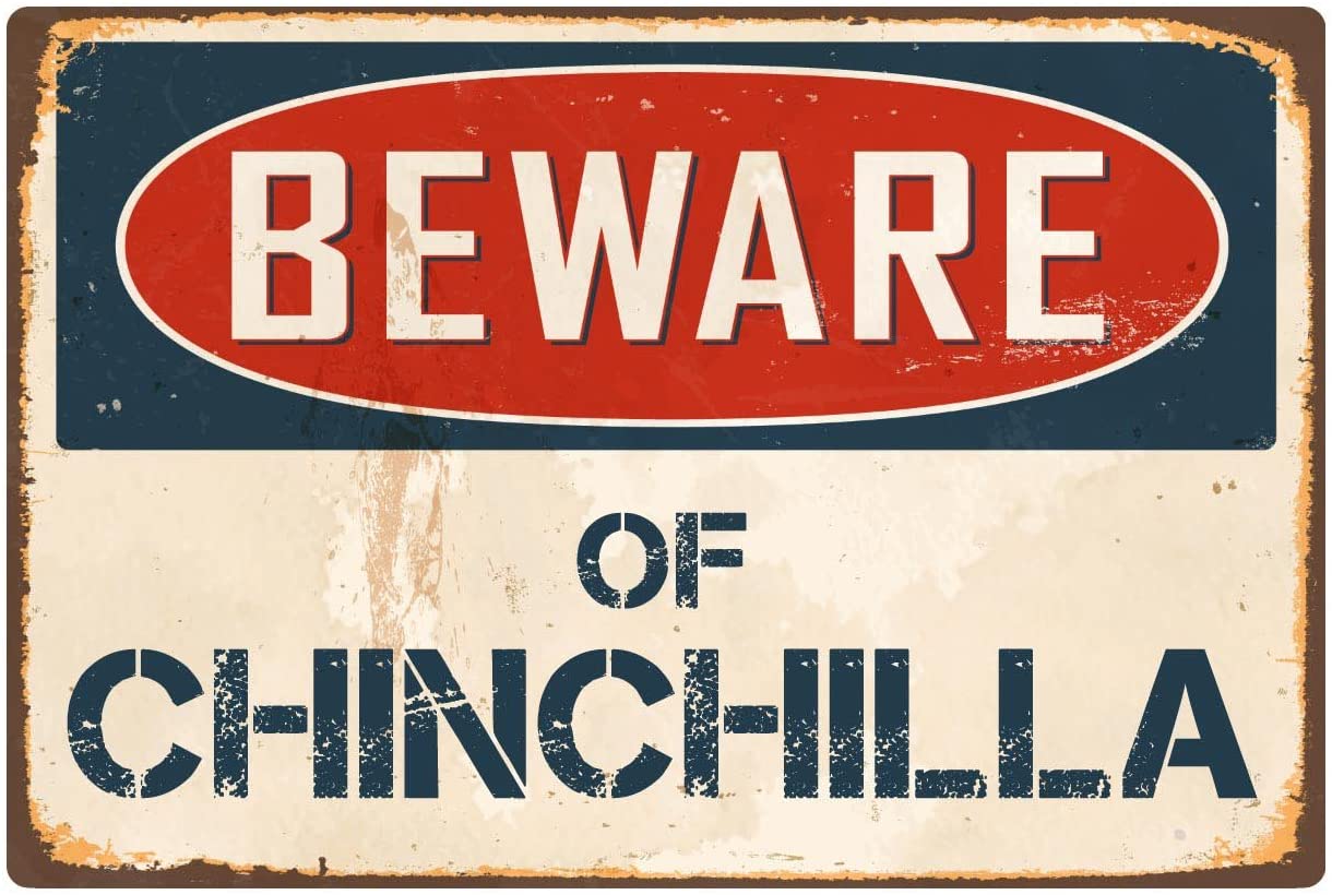 Beware of Chinchilla