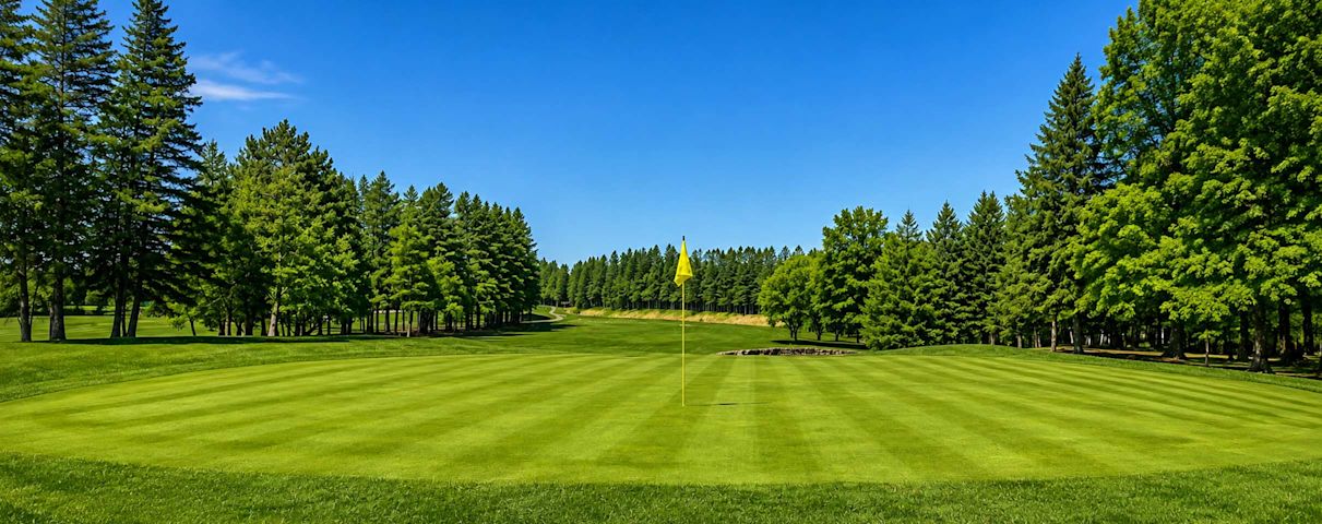 Un drapeau dans son trou sur le vert d'un terrain de golf