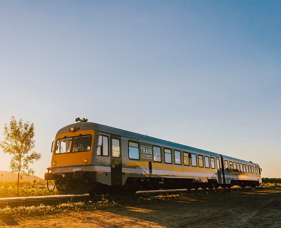 Train de Charlevoix, Téléphérique survolant une cascade entourée de verdure sous un ciel bleu.
