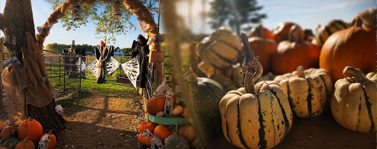 Une entrée rustique d’Halloween décorée de citrouilles, de personnages effrayants et de détails automnaux crée une ambiance festive