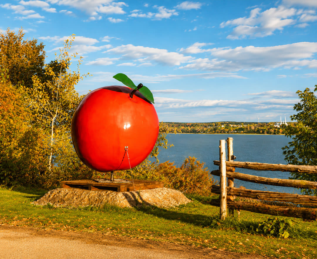 Verger du Roy: Une pomme géante surplombe un magnifique paysage automnal au bord de l’eau sous un ciel bleu ensoleillé.
