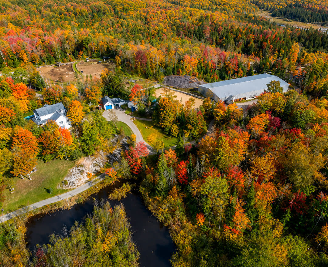 Cavaland - Vue aérienne d'une forêt automnale colorée avec des bâtiments blancs et un grand hangar gris au milieu des arbres.