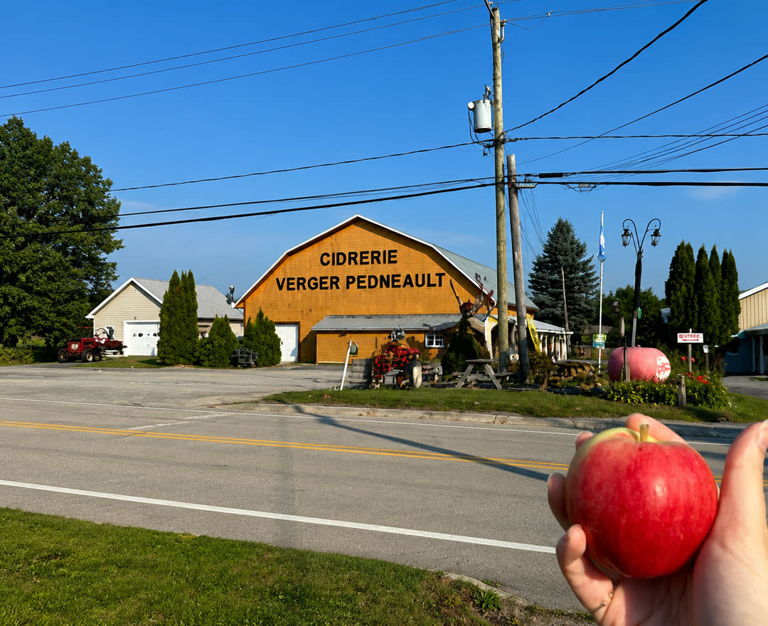 Une cidrerie champêtre où une pomme fraîche invite à découvrir les saveurs du terroir.